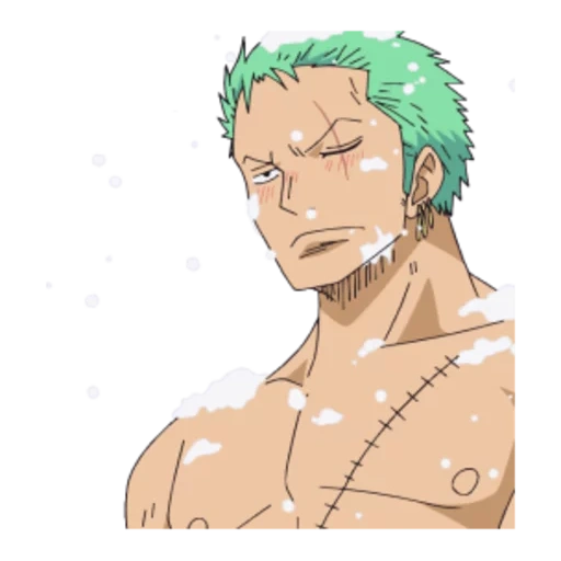 zoro, anime, una pieza, van pis zoro, roronoa zoro