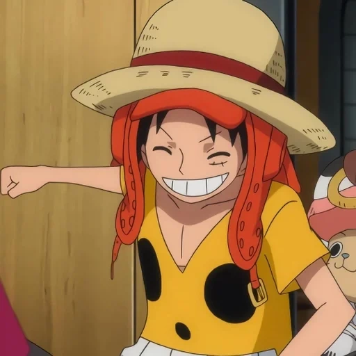 luffy, faccia di lufty, sorridi e vola, manchi de lufe, van pies lufei sorride