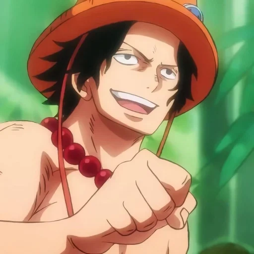 luffy, van pies, ace one piece, ports dees, luffy arco vano