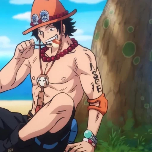 ace luffy, ace van pis, manki d luffy, ace one piece, ein stück wanokuni