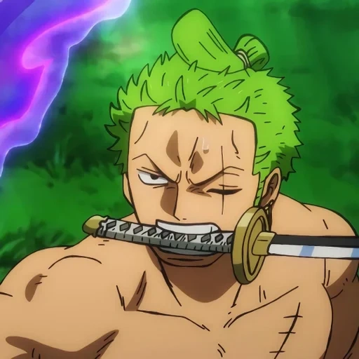 zoro, roronoa zorro, manky de luffy, one piece zoro, one piece episode 957