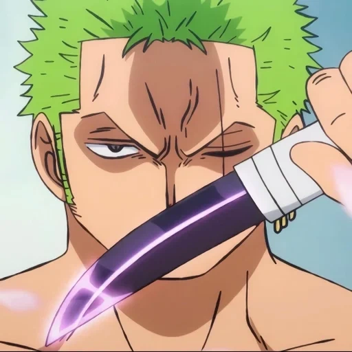 zoro, zoro wano, zoro sanji, roronoa zorro, one piece zoro