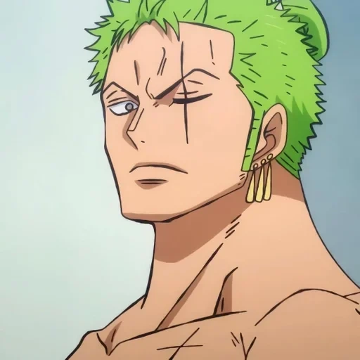 zoro, roronoa zoro, van pis zoro, one piece zoro, zoro roronoa is dear