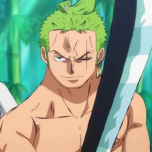 zoro, zorro amf, zorro amv, rorono a zoro, episodio 892 di one piece