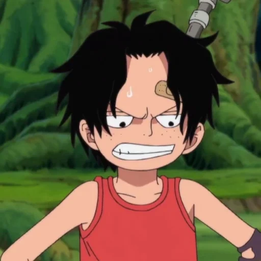 ruffy, ein stück, van pis ace, anime luffy, van pis luffy kindheit