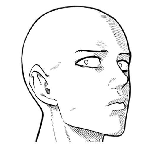dibujo, avatar de usuario, dibujo facial en el perfil, sketch de la cara, dibujo de la cabeza
