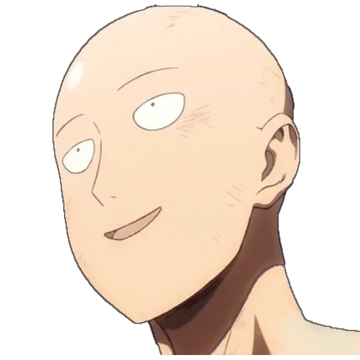 saitama, la porta di wanpanqi, saitama hope, anime di wan penchman, personaggio anime calvo