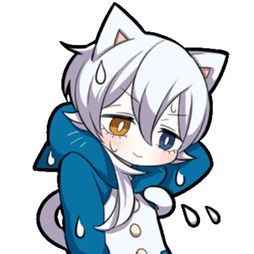 quelques, shiro neko, chaton blanc