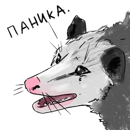beutelratte, wolf regen, opossum art memem