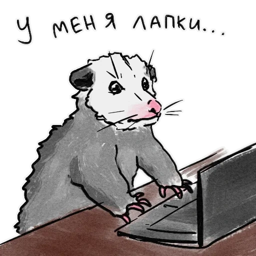 beutelratte, opossum skala, oposum zeichnung