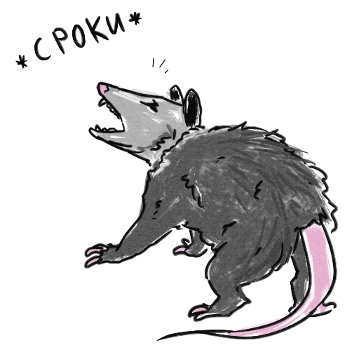 semacam tupai, seni oposum, gambar oposum, ilustrasi opossum
