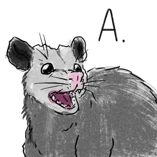 zarigüeya, dibujo de oposum, caricatura de oposum