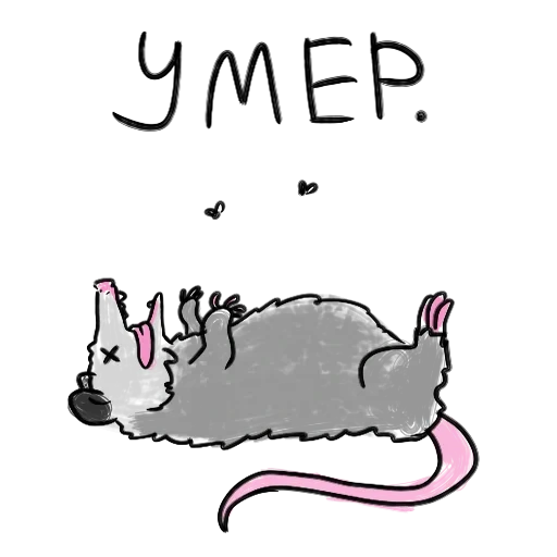 tikus, semacam tupai, brooke barker comics tentang hewan, jika hewan bisa berbicara buku