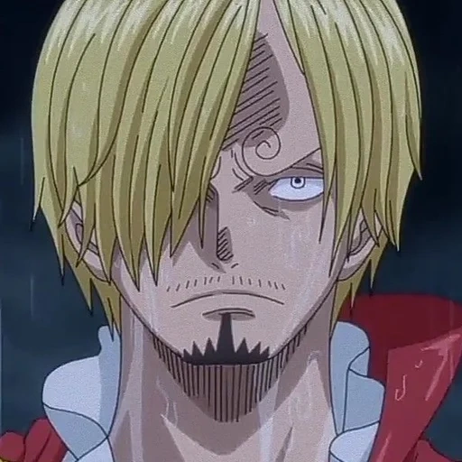 sanji, van pies, sangi van pies, rey ladrón de animación, rey del ladrón tripolar