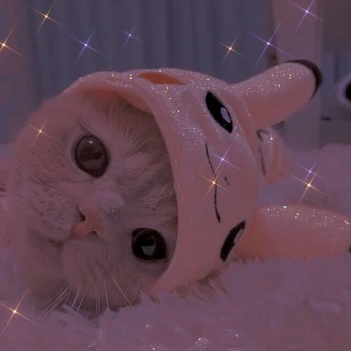 lovely cat, lovely seal, seal aesthetics, cute cats are funny, fairy animal aesthetics kitten