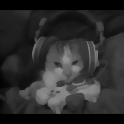 cat, steam, лапушка, gamer cat, sad gaming cat
