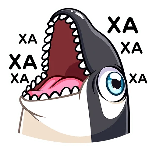 shark, shark, killer whale