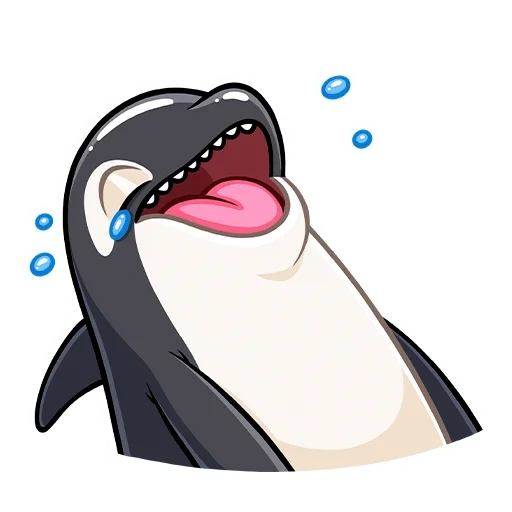 orca, épaulard épaulard