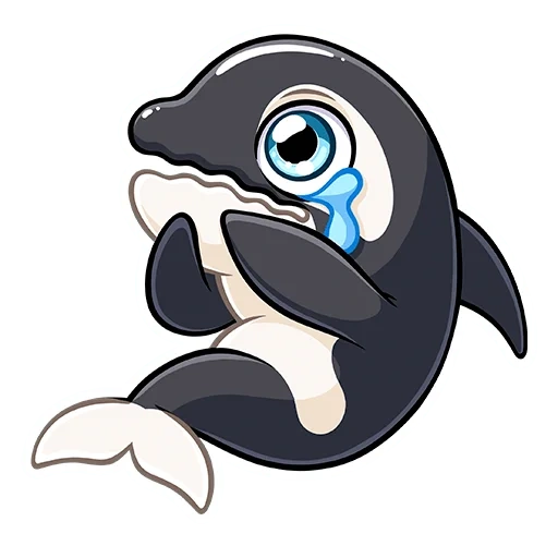 dolphin, killer whale, cartoon killer whale, cartoon killer whale