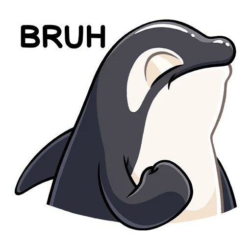 killer whale, killer whale