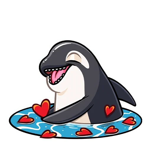 killer whale, killer whale