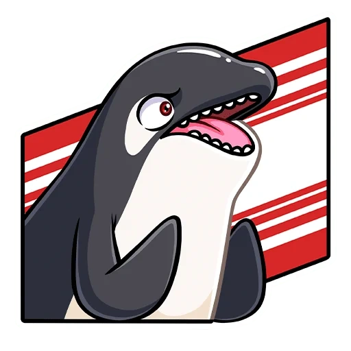 killer whale, killer whale