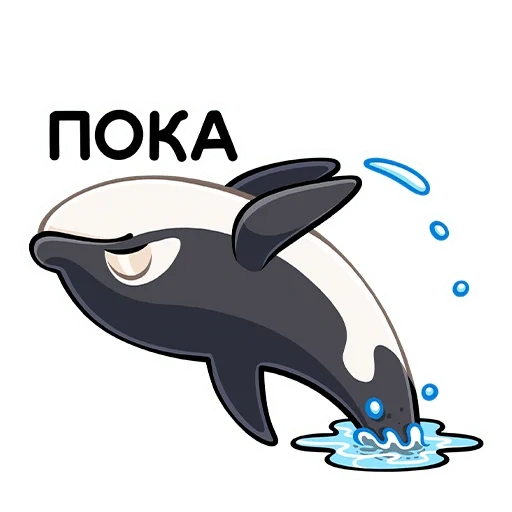 le orche, le orche, orca orca orca, orca delfino vettoriale