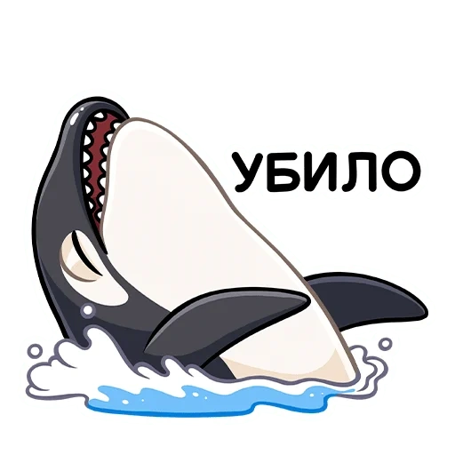 divertente, le orche, orca orca orca