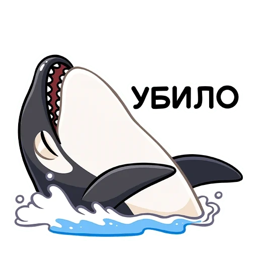 funny, killer whale, killer whale