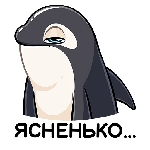 orca, épaulard épaulard