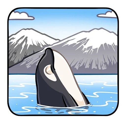 killer whale, killer whale, killer whale pattern, klipat penguin, killer whale pattern