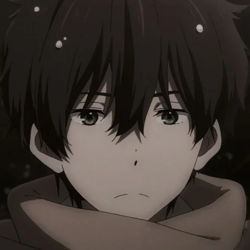 orec hortar, oreci hotaro, orec ist grau, anime hyouka ist ein heißer orec, hotaro orec houtarou oreki