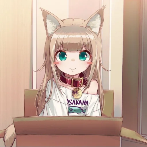 anime neko, cat animation, 40hara kinako, kinako 40hara, girl cat animation
