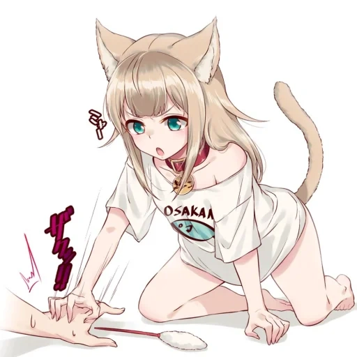 nekan, anime alguns, kinako não é, gatos de anime, anime de gato de menina
