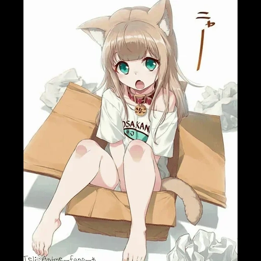 nekan, kinako no es, manga de osakana neko, anime de gato de niña, shimahara 40hara arte