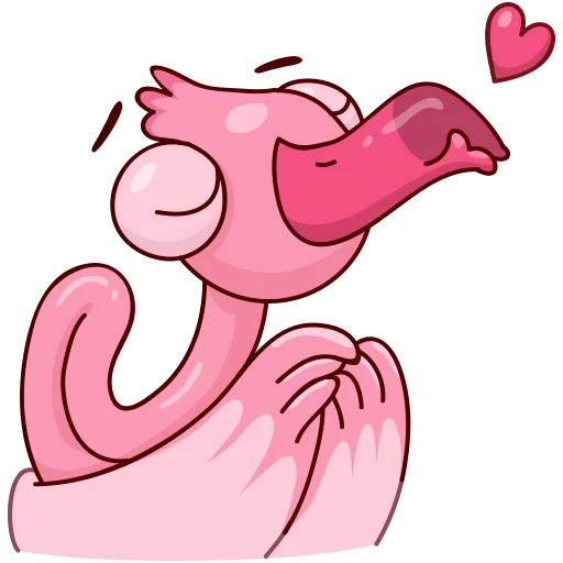 flamingo, flamingo eyo, flamingo ayo, expression de flamant rose
