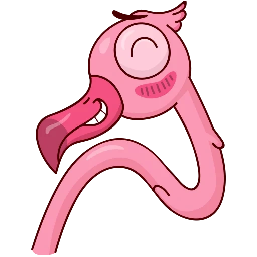 eyo, flamingo, flamingo eyo, flamingo ayo, expression de flamant rose