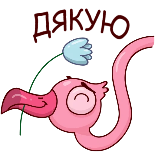 eyo, flamingo, flamingo eyo, ayo flamingo