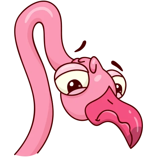 ayo, flamingo, flamingo ayo, eyo flamingo