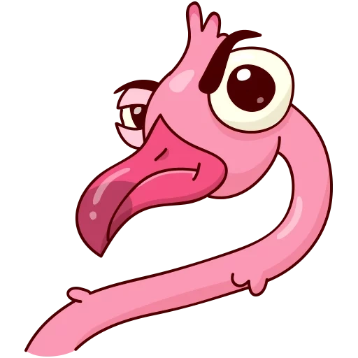 eyo, flamingo, flamingo eyo, flamingo ayo, expression de flamant rose