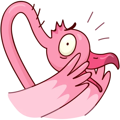 flamingo, flamingo ayo, eyo flamingo