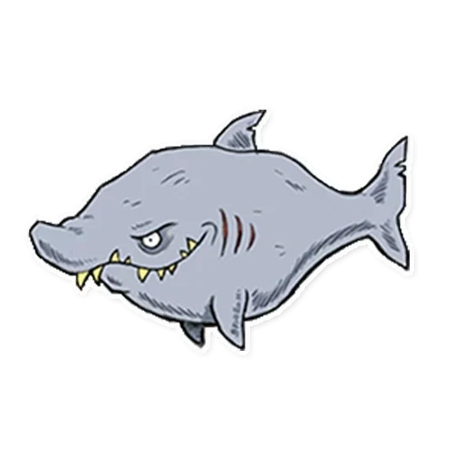 tiburón, tiburón azul, dibujo de tiburones, tiburón de dibujos animados, ilustración de tiburón