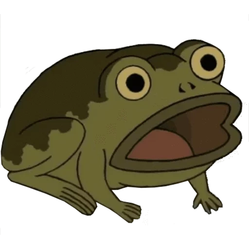 die froschkröte, auf der anderen seite der krötenhecke, auf der anderen seite der hecke ist ein frosch, die andere seite der froschhecke