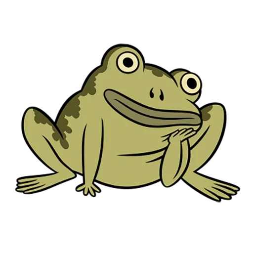toad, katak, pola katak, pola katak itu lucu, jason van der burke frog