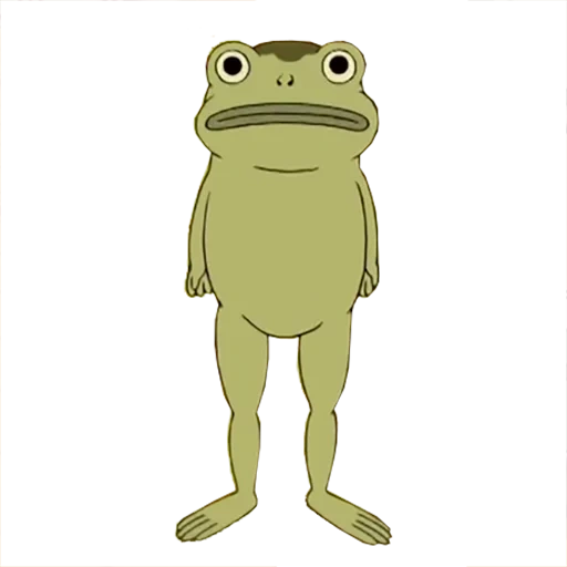 frog, frog toad, the frog is funny, jason fandermker frog, jason fanderberker frog toy