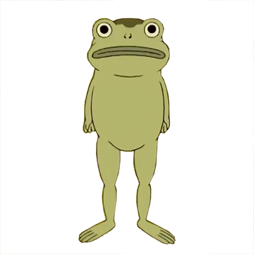 der frosch, die froschkröte, frosch lustig, jason van der burk frosch, jason van der burk frosch spielzeug