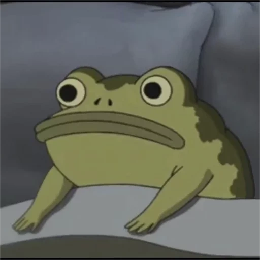 the buzo, divergenzmittel, bufo flavus, frog and toad, benutzerprofil