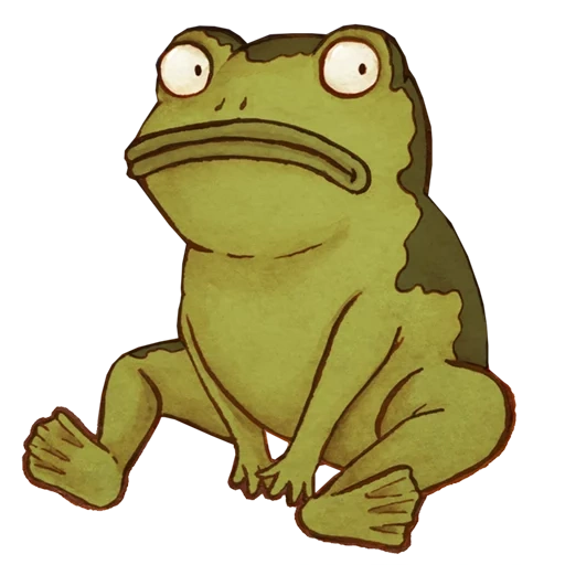 frog, jason fandermker, jason fandermker toad, jason fandermker frog