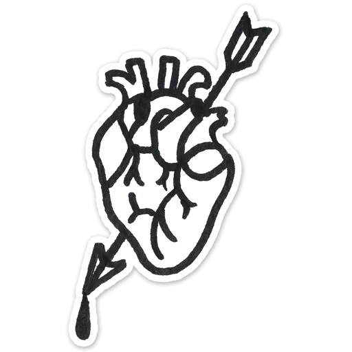 corazón órgano, icono órgano del corazón, ícono del corazón humano, el corazón de una persona es un contorno, el icono es anatómico