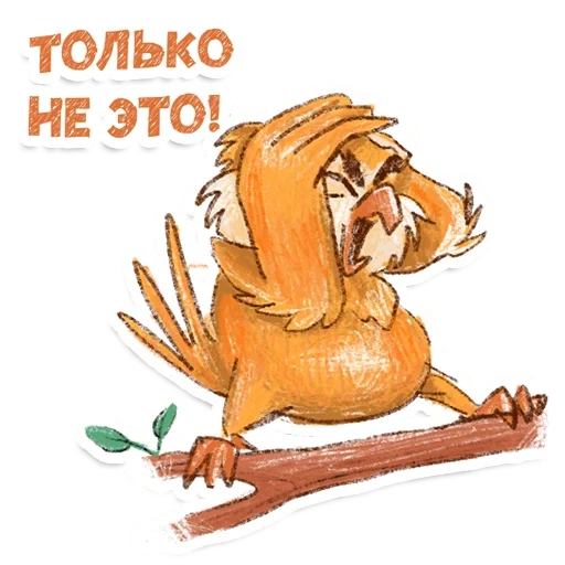 owl, humor, an arrogant owl, funny postcard